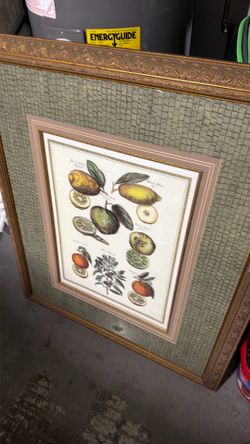 3 framed fruit and spice prints