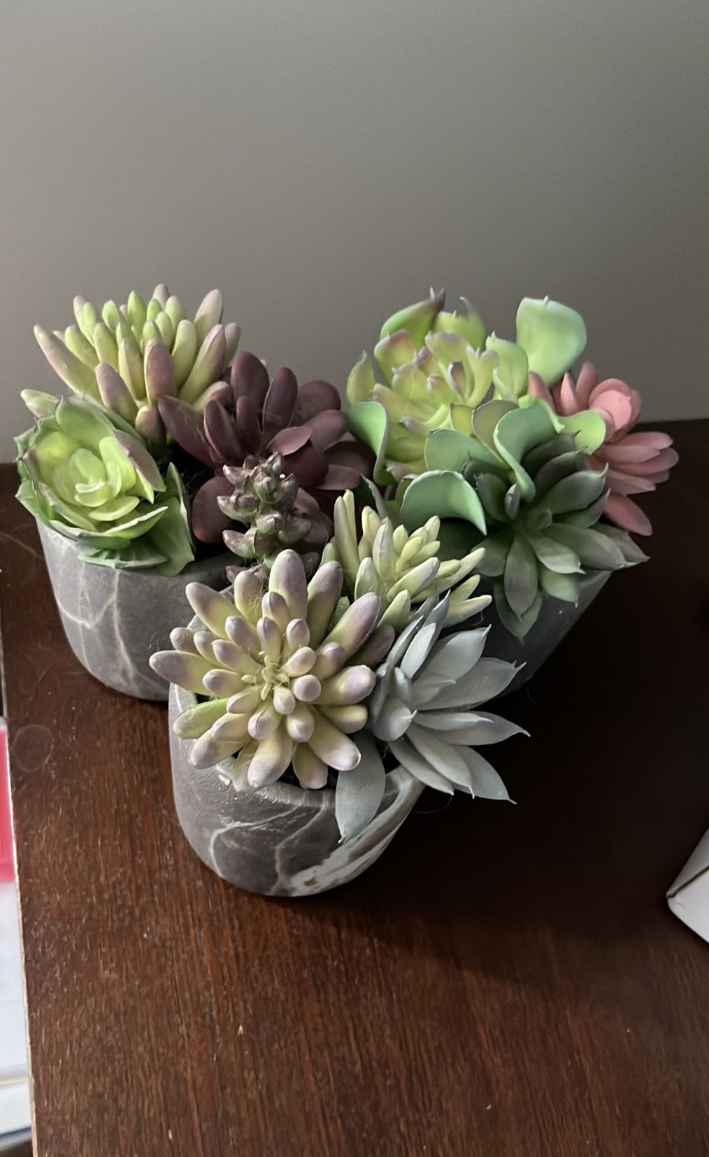 Succulents & Decorative Block Bundle