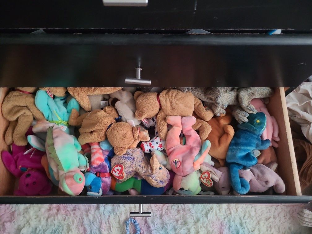 Beanie Baby Collection