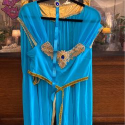 Belly Dancer Costume 
