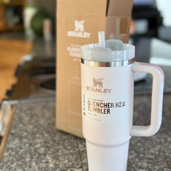 Stanley Cup Pink New