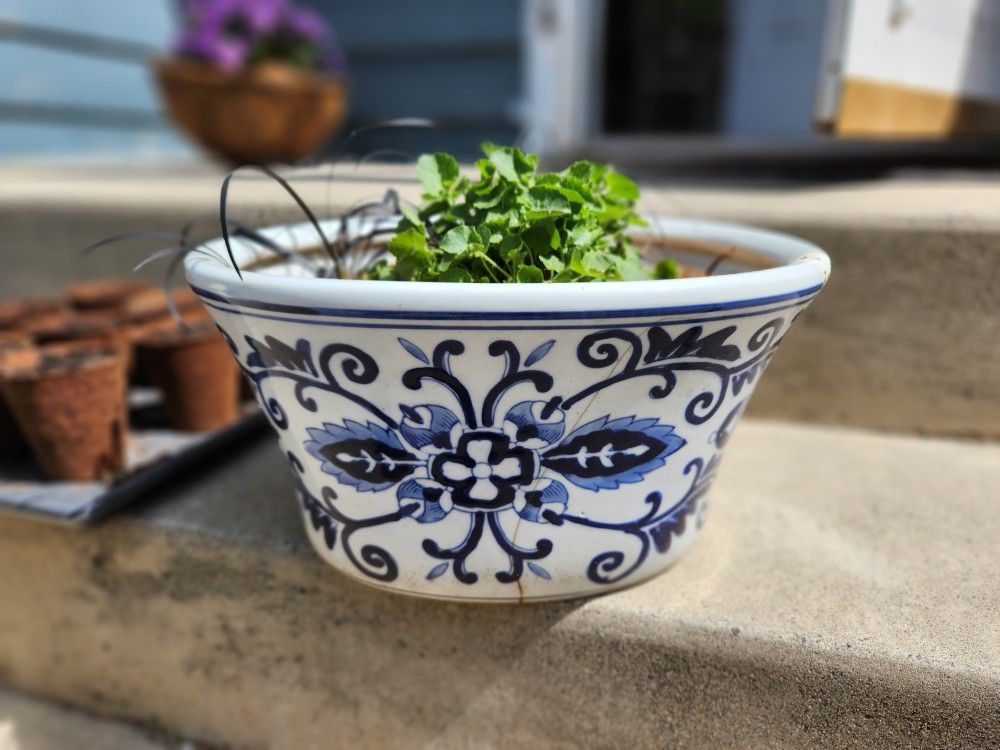 White And Blue Frost Proof Ceramic Pot With Plants