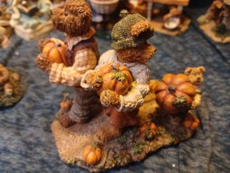 Bear collection