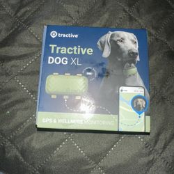 GPS & Wellness Tracker 
