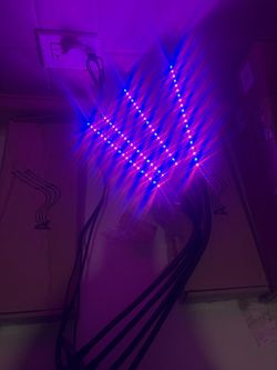 Plant Lights With Timer / Full Modes / Plant Grow Light 