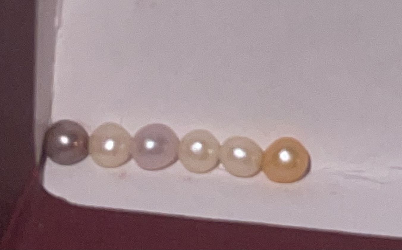 Pearls (6 Baby Pearls)