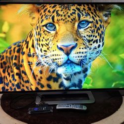 47" 1080p LED HDTV w/a Roku Smart Device 