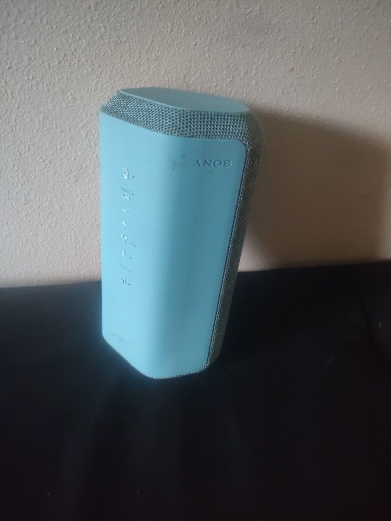 Sony Speaker X300
