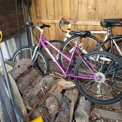 Ladies Hydrid Bike