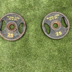 2 Golds Gym 25 Pound Plates