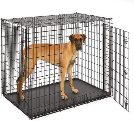 LARGE DOG CRATE BRAND NEW - STILL IN BOX UNOPENED COMES W/ POTTY PADS FOR FREE