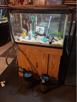 29 gallon aquarium and accessories