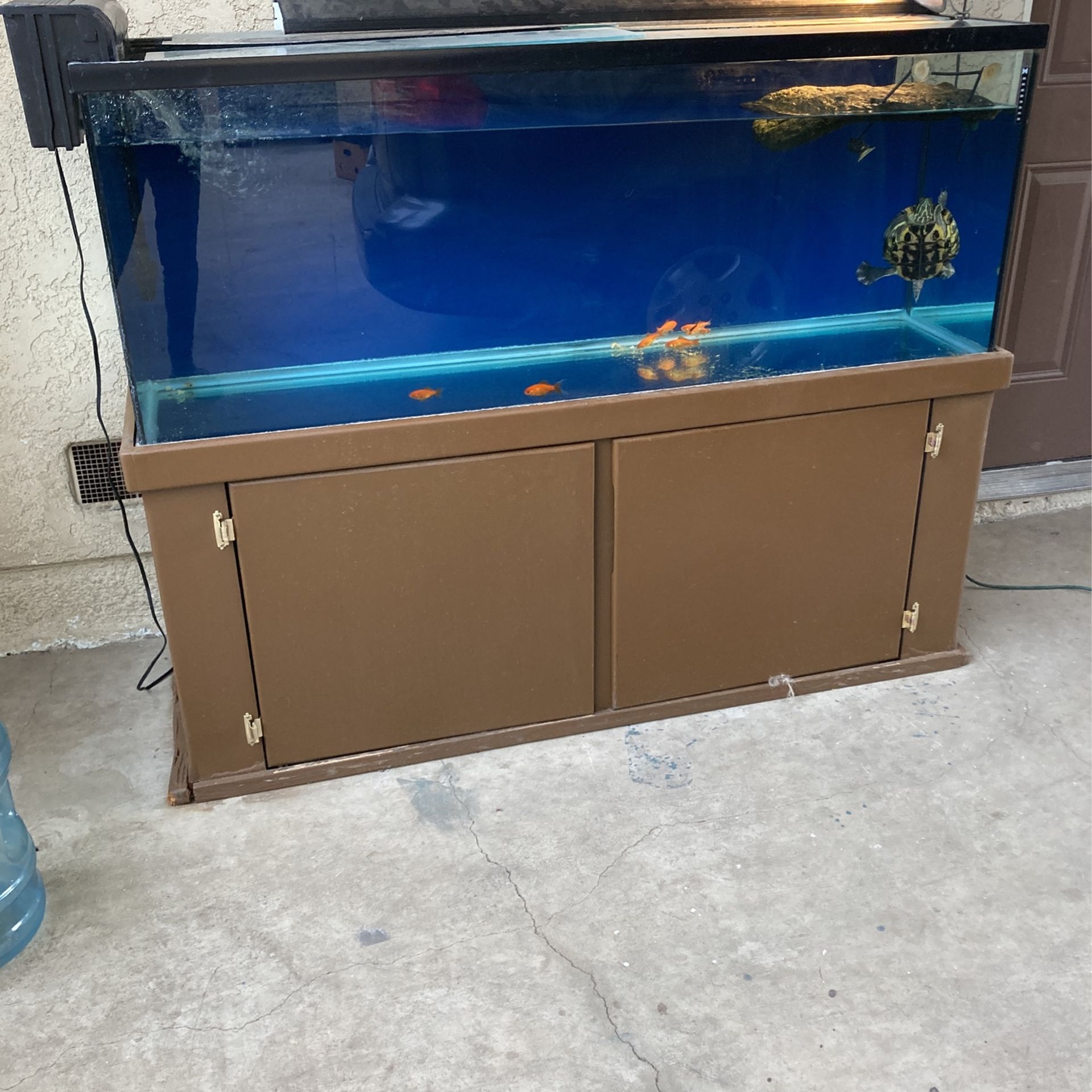 Zilla Brand 40 Gallon Turtle Tank for Sale in Riverside, CA OfferUp