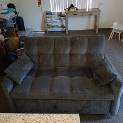Love seat Couch- Converts To Small Pull Out