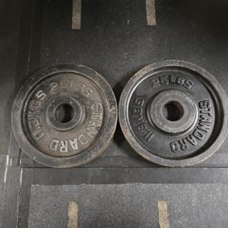 25lb Used Old Olympic Weight Plates--