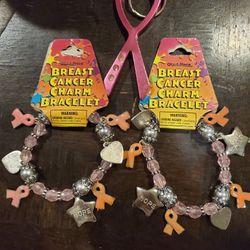 ☆BREAST CANCER☆CHARM BRACELET☆