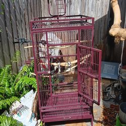 Bird Cage