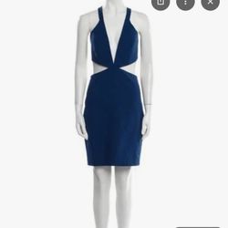 Michelle Mason Dress