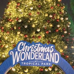 Christmas Wonderland  