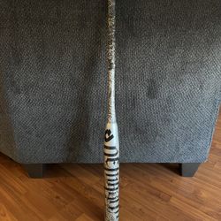 2015 ASA Demarini Juggy 