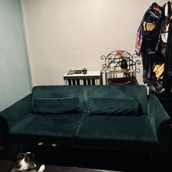 Wayfair Velvet Couch and Futon