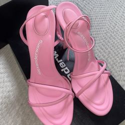 Pink Heels (Alexander Wang)
