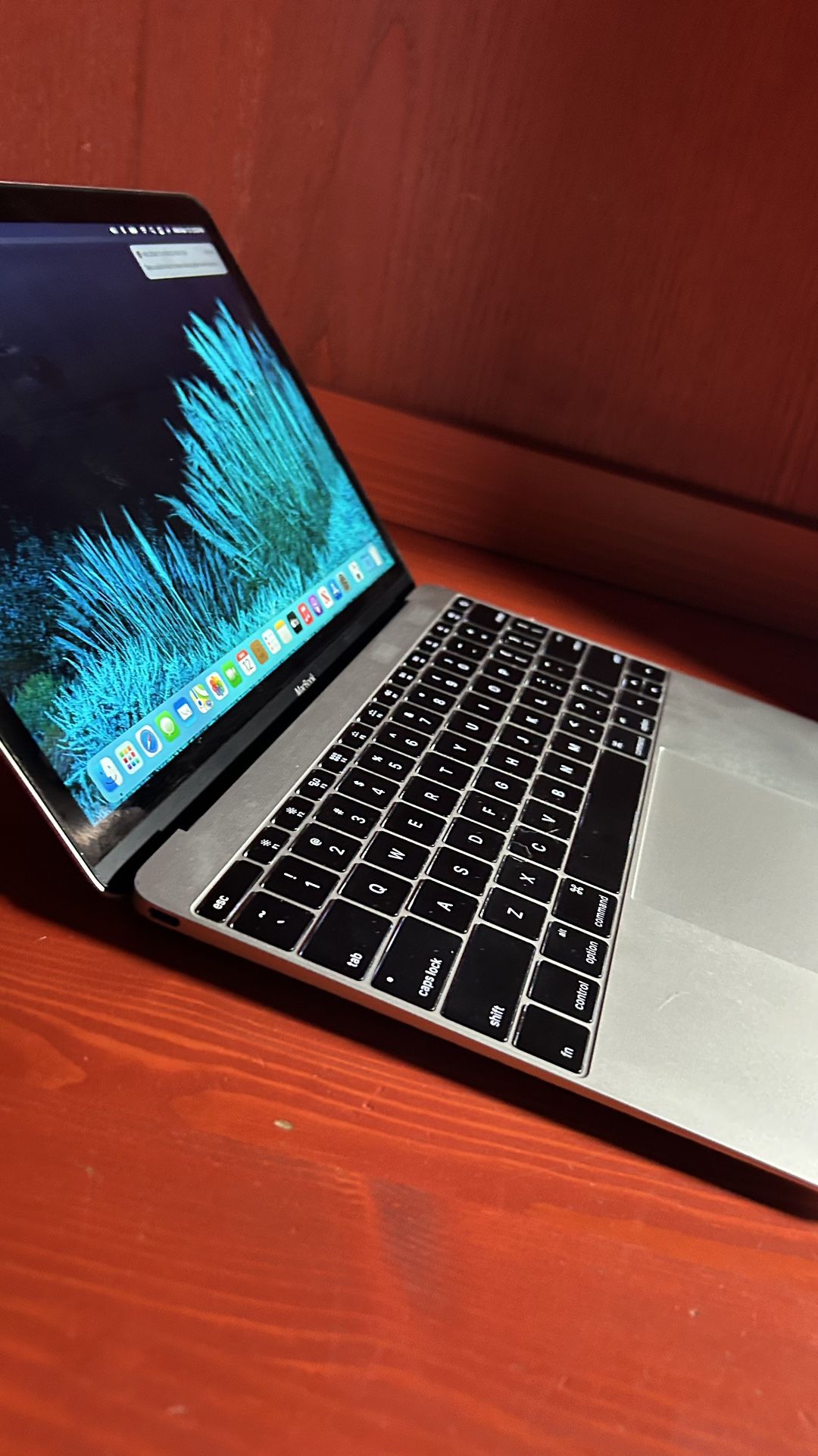 Apple MacBook 12” Retina Core M/8GB/500GB SSD $250