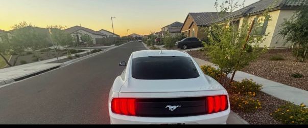 2020 Ford Mustang