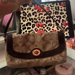 Coach Bag 