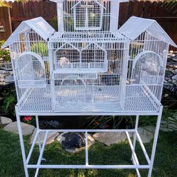 Bird Cage