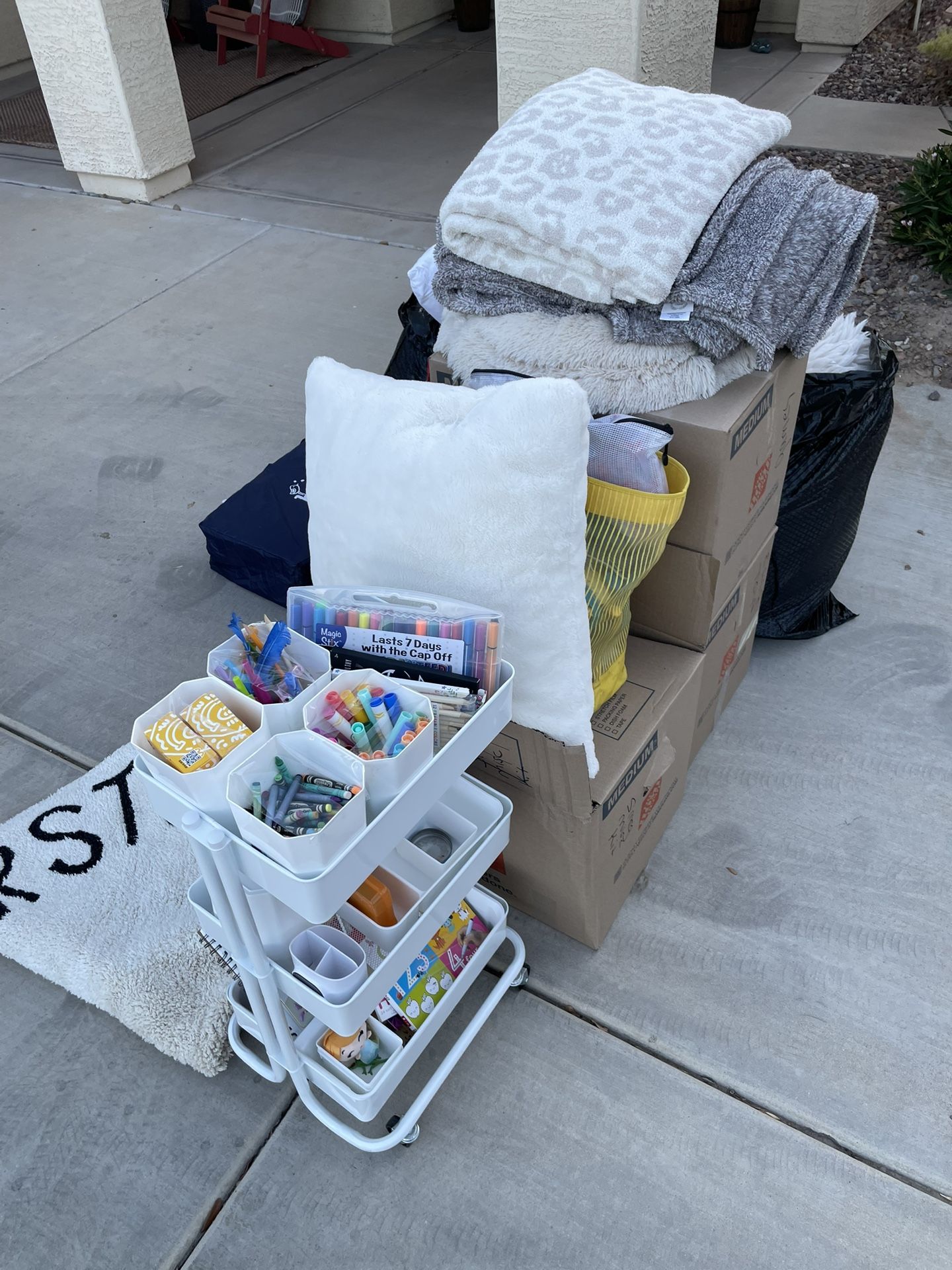 $500 OBO Investment Lot - High End Child room and pet misc - Not Free