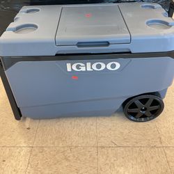 Igloo Cooler 