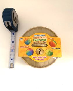 MYSTERY DUMPLING SQUISHY / BRAND NEW