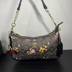 coach x disney bag