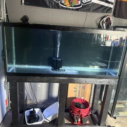 125 gallon aquarium