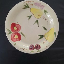 Heavy Duty Dinner Plate 
