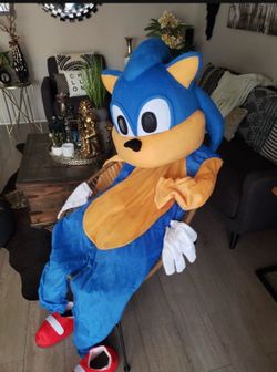 Sonic costume