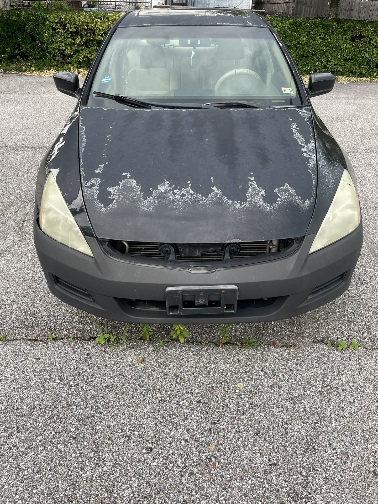 2006 Honda Accord