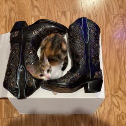 Black Bedazzled Woman’s Western Boots