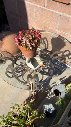 Indoor outdoor coffee table