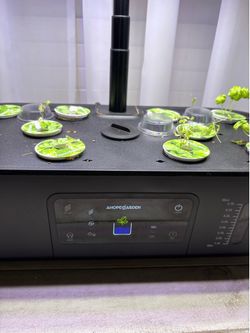 Herb indoor starter kit