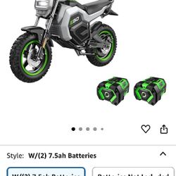 Electric Bike