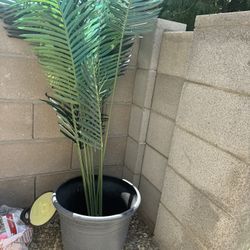 Patio Decoration