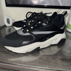 Dior B22 