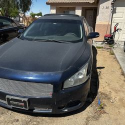 2009 Nissan Maxima