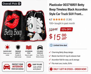New Betty Boop Windshield Sunshade
