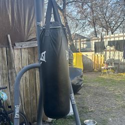 everlast bag & stand 
