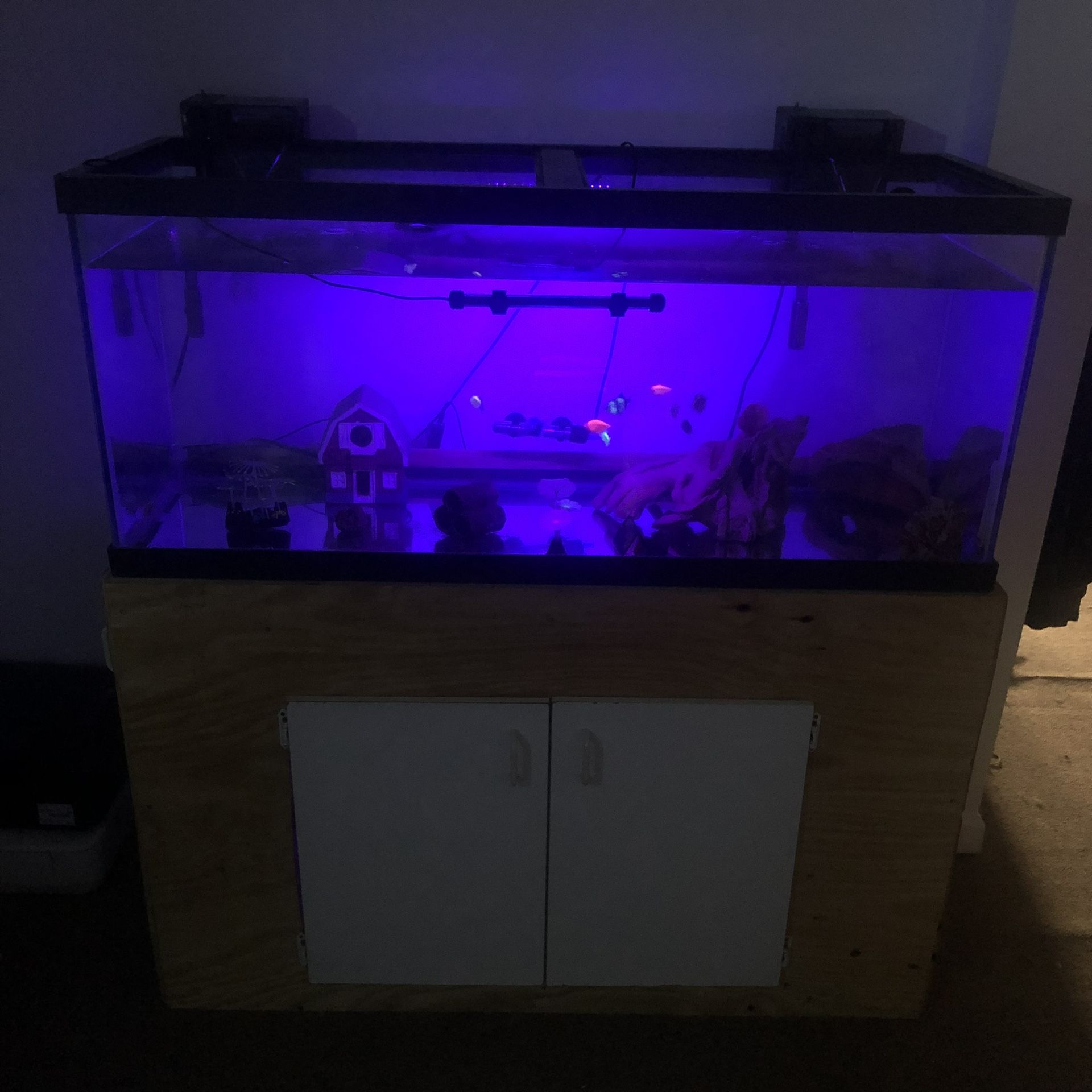 75 Gallon Aquarium Terrarium Turtle Fish Tank With Built Stand