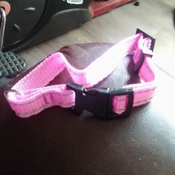 Dog collars SALE 10$ SALE