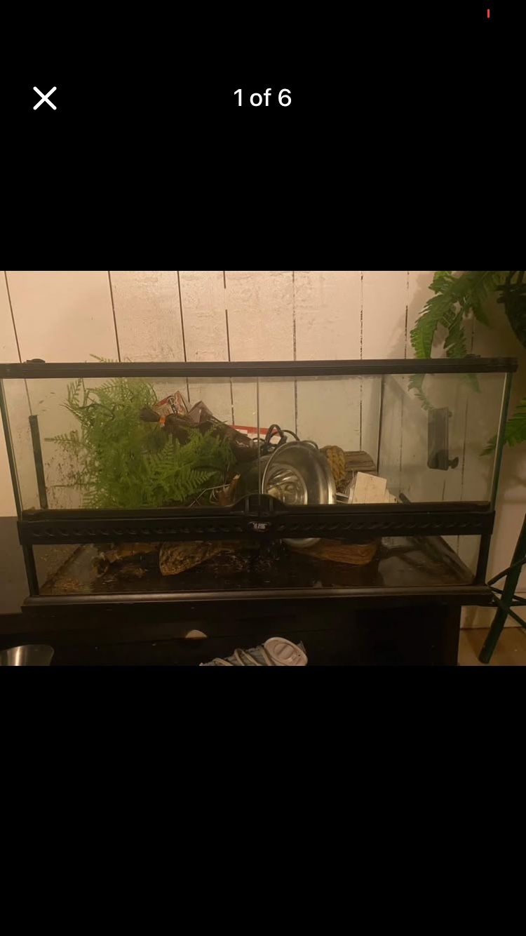 Reptile Kit — Terrarium With All Necessary Accessories, Put Together For A Ball Python (the Only Thing Missing Is The Screen On The Top) Worth $250